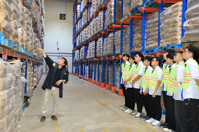 Dự kiến hàng loạt trường cao đẳng, trung cấp ở TP HCM sẽ bị sáp nhập- Ảnh 1.