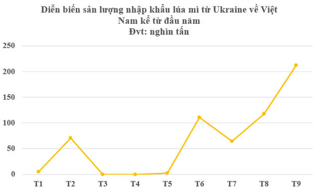 Ukraine bất ngờ đưa hàng trăm tấn hàng vào Việt Nam chỉ trong 1 tháng: Thuế nhập khẩu 0%, nước ta đứng top tiêu thụ trên thế giới- Ảnh 3. Ukraine bất ngờ đưa hàng trăm tấn hàng vào Việt Nam chỉ trong 1 tháng: Thuế nhập khẩu 0%, nước ta đứng top tiêu thụ trên thế giới- Ảnh 3.