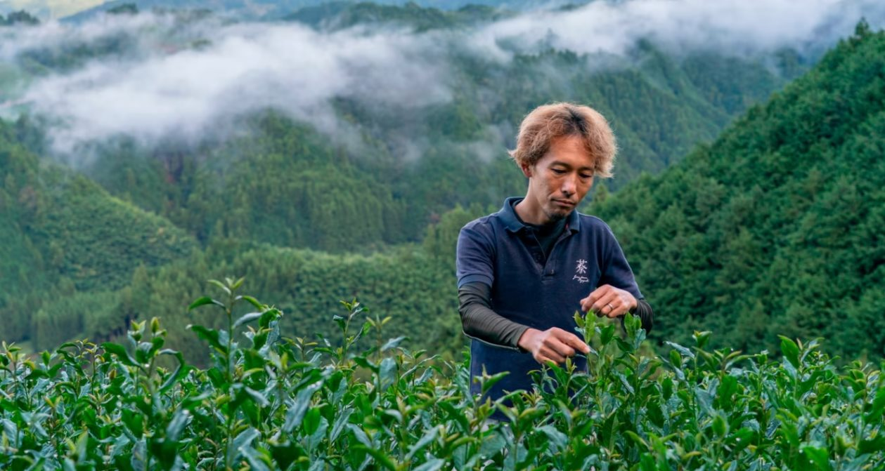Nhật Bản đang sở hữu loại bột được ví như 'vàng xanh', cả thế giới đổ xô tới đây săn lùng, cung không đủ cầu- Ảnh 1. Nhật Bản đang sở hữu loại bột được ví như 'vàng xanh', cả thế giới đổ xô tới đây săn lùng, cung không đủ cầu- Ảnh 1.