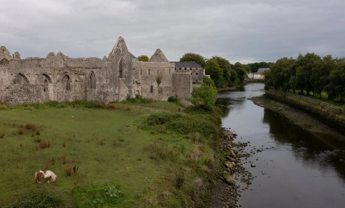 Thị trấn tại Ireland lao đao khi Nestle thông báo đóng cửa một nhà máy sữa bột trẻ em, 540 công nhân bơ vơ- Ảnh 1. Thị trấn tại Ireland lao đao khi Nestle thông báo đóng cửa một nhà máy sữa bột trẻ em, 540 công nhân bơ vơ- Ảnh 1.