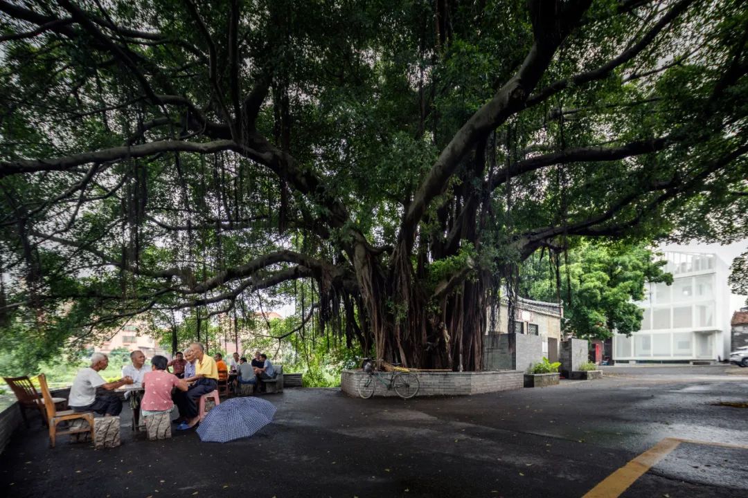 Người đàn ông 65 tuổi xây ngôi nhà “trong suốt” cho 3 thế hệ chung sống, nhìn vào ai cũng tự hỏi: “Không hiểu sống thế nào”- Ảnh 13.