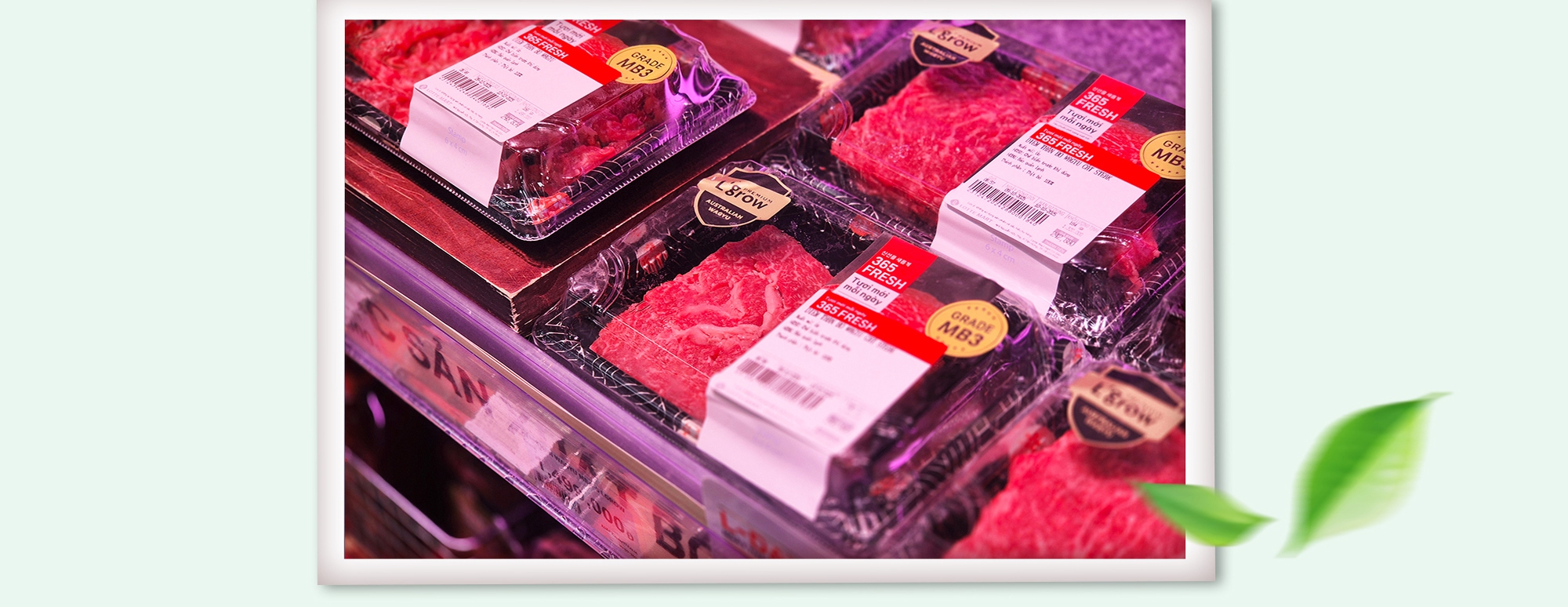 LOTTE MART nâng tầm trải nghiệm thực phẩm tươi sống chất lượng vượt trội với nhãn hiệu riêng 365 FRESH- Ảnh 4. LOTTE MART nâng tầm trải nghiệm thực phẩm tươi sống chất lượng vượt trội với nhãn hiệu riêng 365 FRESH- Ảnh 4.