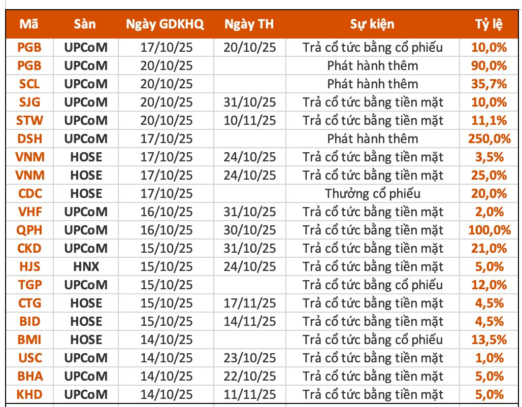 Lịch chốt quyền cổ tức 13/10– 17/10: Cổ tức tiền mặt cao nhất 100%, một "đại gia" chuẩn bị chi gần 6.000 tỷ đồng trả cổ tức- Ảnh 1.