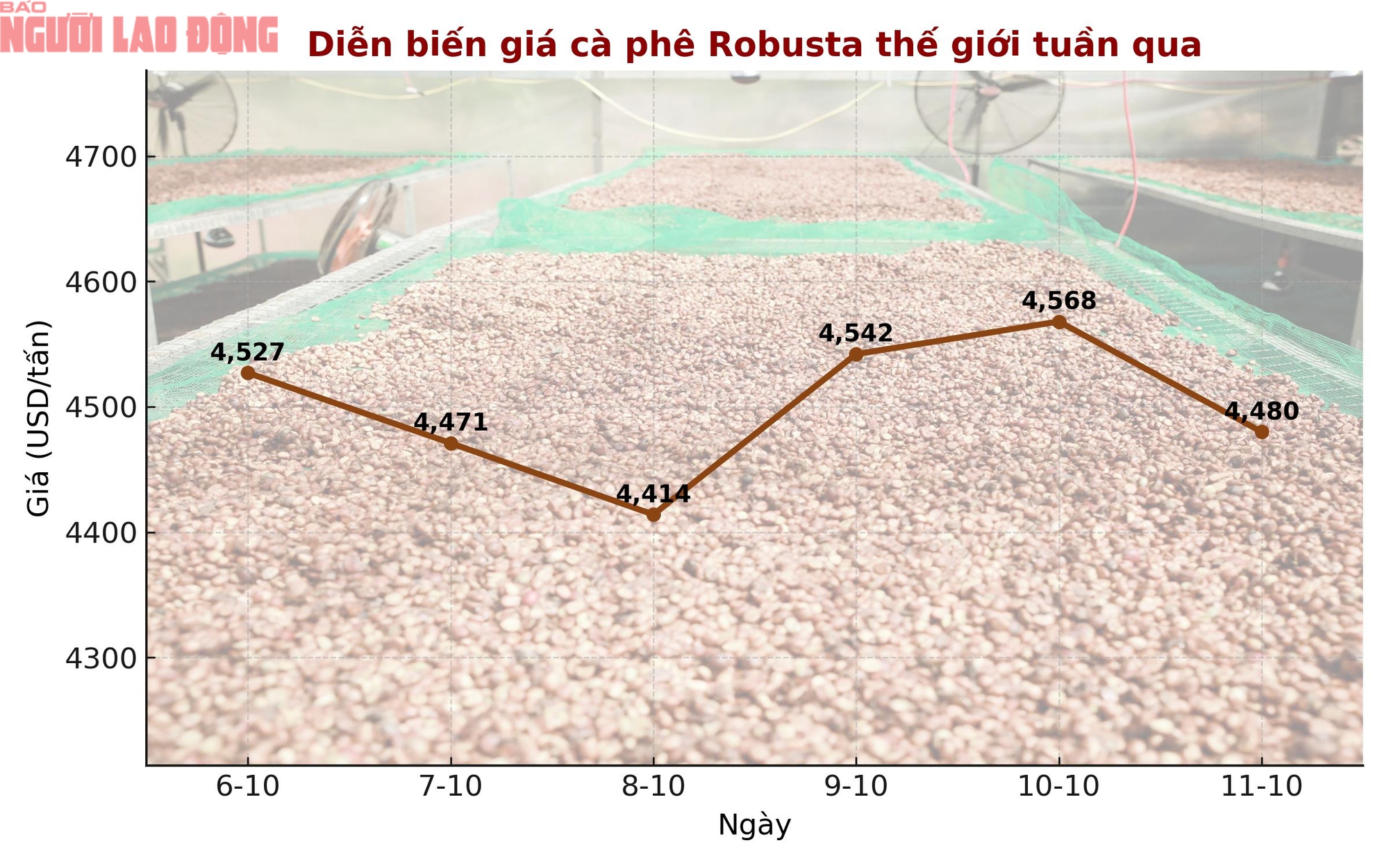 Giá cà phê hôm nay 11-10: Chốt tuần giảm, xuất khẩu cà phê toàn cầu ra sao?- Ảnh 1. Giá cà phê hôm nay 11-10: Chốt tuần giảm, xuất khẩu cà phê toàn cầu ra sao?- Ảnh 1.