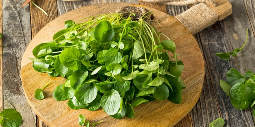 Việt Nam sở hữu loại rau Việt Nam sở hữu loại rau