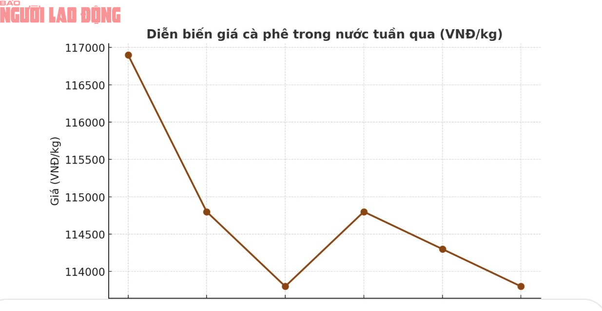 Giá cà phê hôm nay 12-10: Vào vụ giảm, dự báo xuất khẩu 9 tỉ USD- Ảnh 2.
