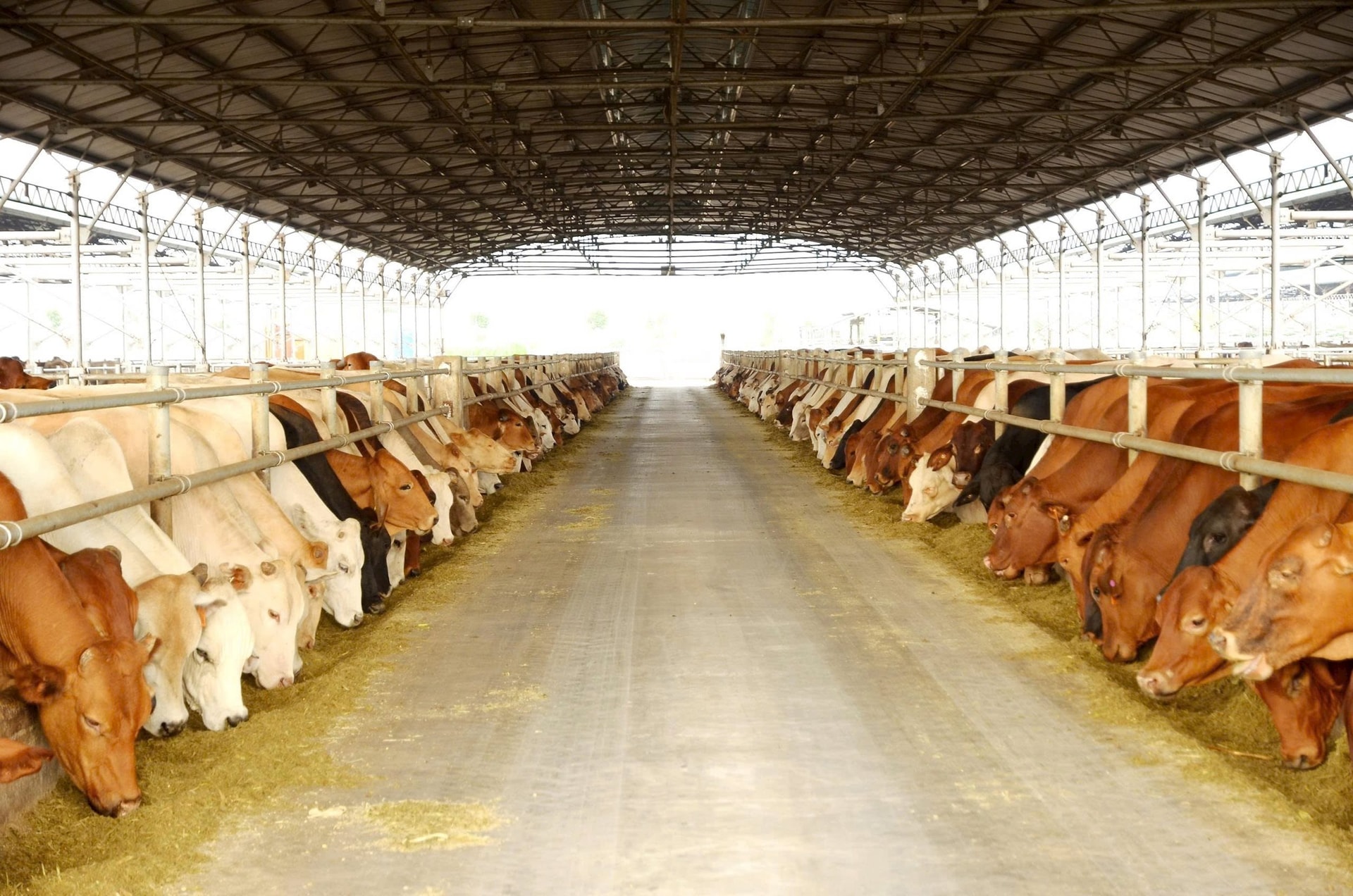 Tân binh sàn chứng khoán Việt Nam 2025: Kẻ tăng giá gấp đôi, người 'hụt hơi' và những gã khổng lồ tỷ đô sắp lộ diện- Ảnh 2.