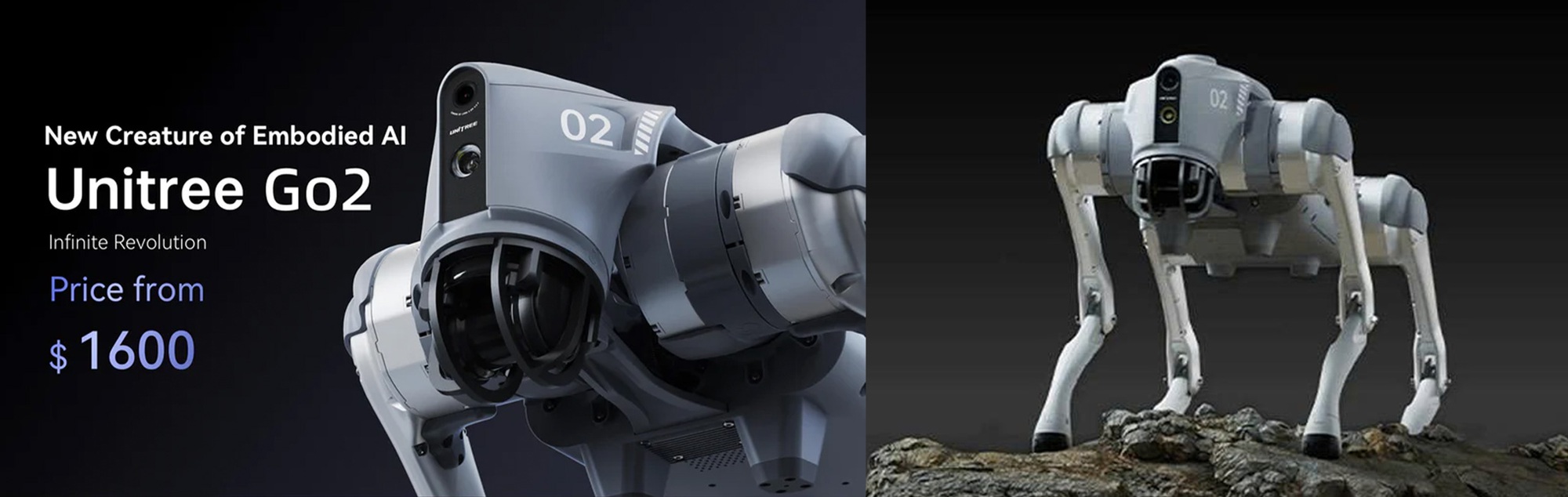 Lê Hoàng Robotics đưa robot Unitree vào giảng dạy tại trường học Việt Nam- Ảnh 1.
