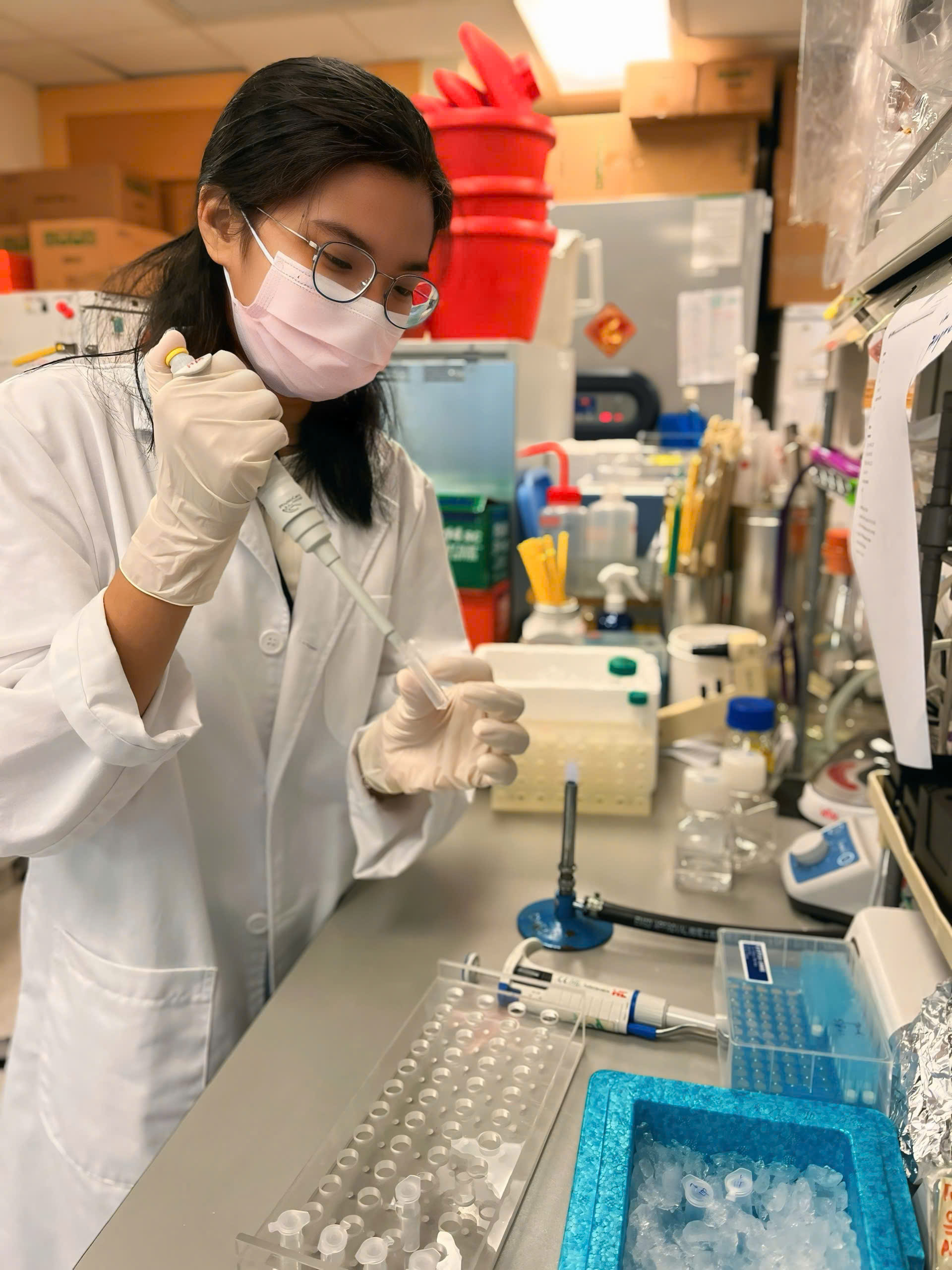 Nữ sinh TP.HCM quyết "săn" học bổng Hồng Kông vì lý do... không đỡ nổi: Trải qua 4 năm học như mơ, thành tích hiện tại càng nể!- Ảnh 2. Nữ sinh TP.HCM quyết "săn" học bổng Hồng Kông vì lý do... không đỡ nổi: Trải qua 4 năm học như mơ, thành tích hiện tại càng nể!- Ảnh 2.