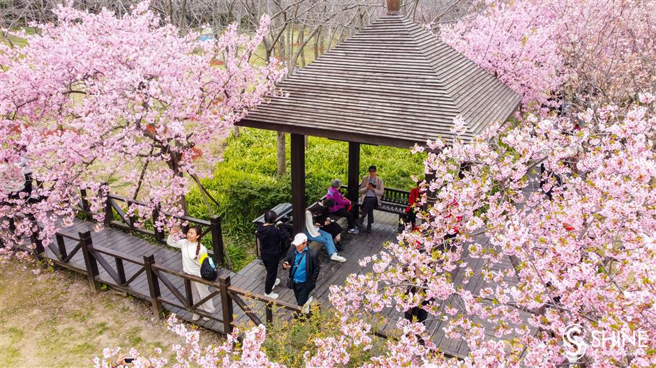 Cảnh tượng mưa ngập ở Thượng Hải khiến nhiều người giật mình, nhận xét: Cảnh tượng mưa ngập ở Thượng Hải khiến nhiều người giật mình, nhận xét: