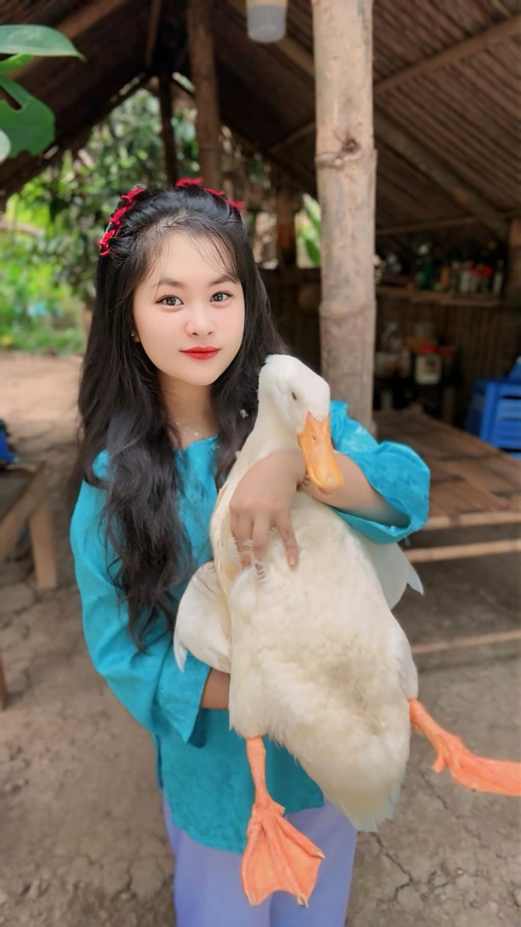 Bim Bim - chú vịt Việt Nam đầu tiên "làm" YouTube qua đời- Ảnh 2. Bim Bim - chú vịt Việt Nam đầu tiên "làm" YouTube qua đời- Ảnh 2.