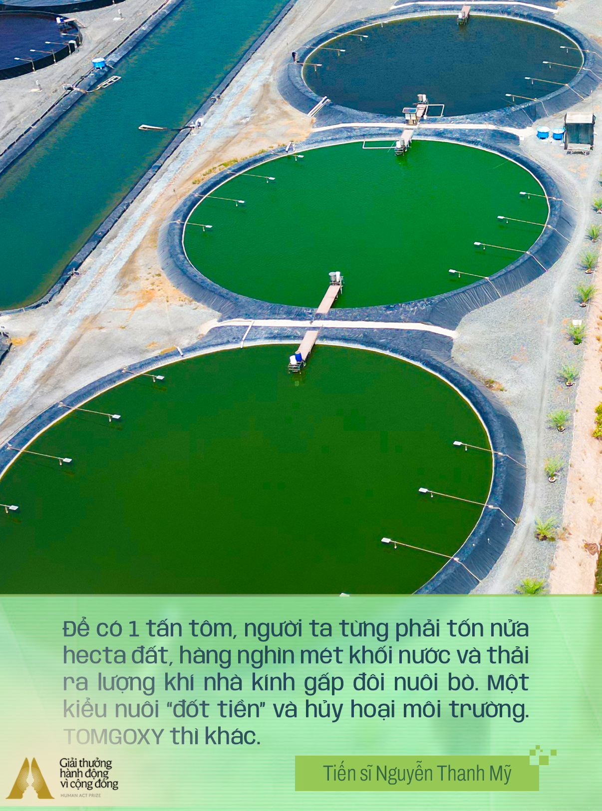 Doanh nhân Việt chọn trở về làm "kẻ khờ khạo": Biết nông dân sẽ thua mà không giúp được, đau lắm chứ!- Ảnh 4.