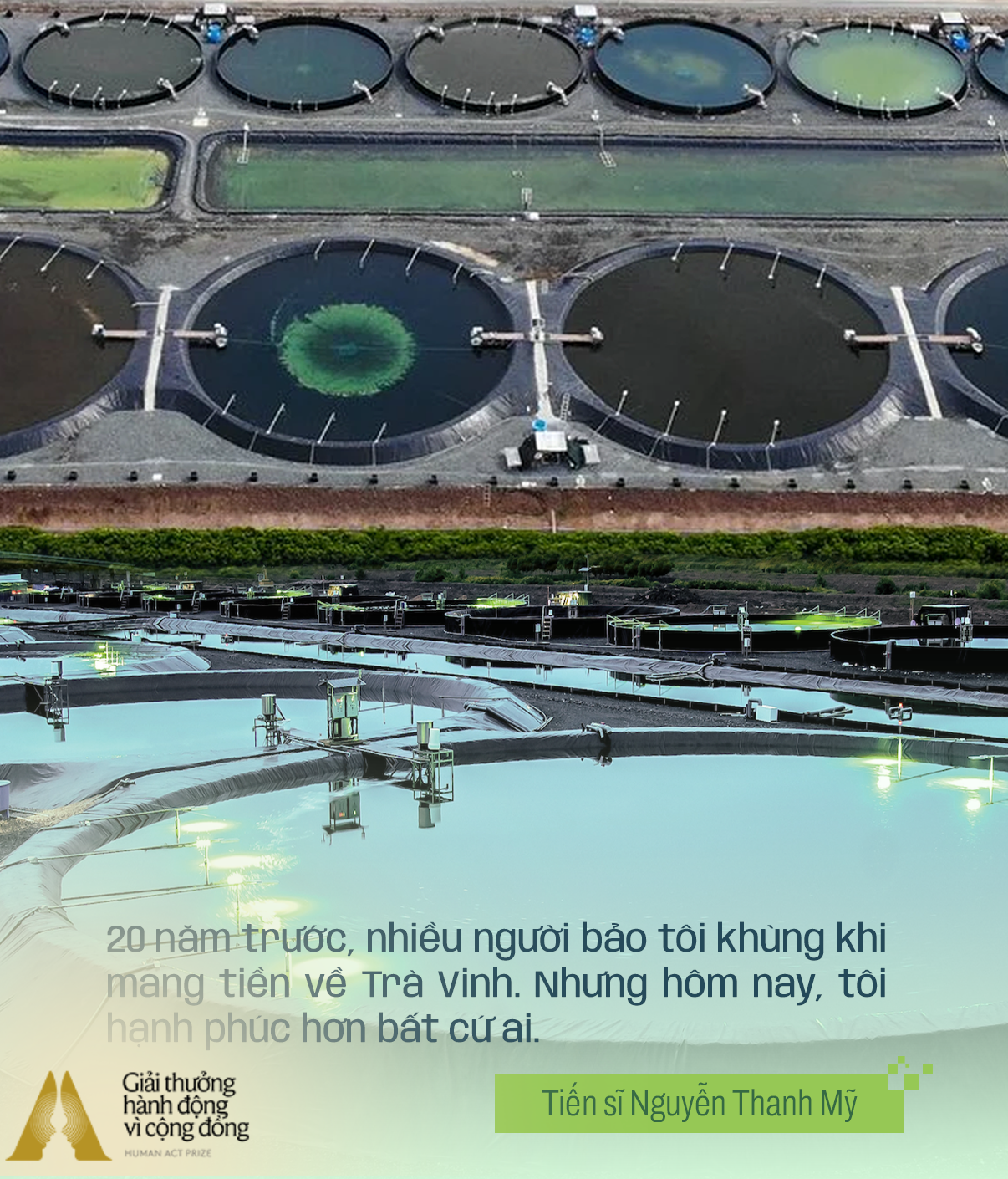 Doanh nhân Việt chọn trở về làm "kẻ khờ khạo": Biết nông dân sẽ thua mà không giúp được, đau lắm chứ!- Ảnh 10.