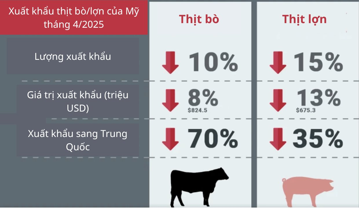 Sau đậu nành, nền kinh tế lớn nhất BRICS lại âm thầm ngừng mua mặt hàng tỷ USD khác của Mỹ, đồng minh của Washington vô tình hưởng lợi- Ảnh 2.