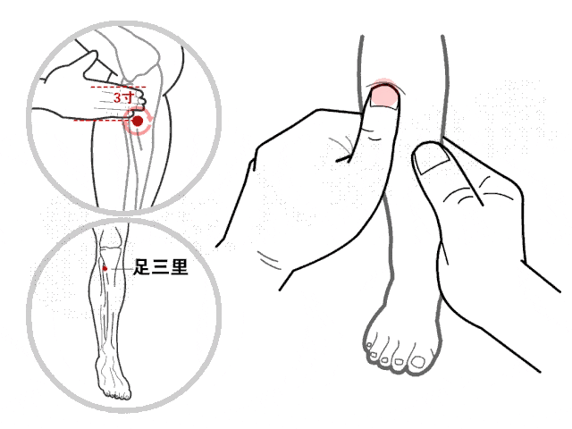 Không phải cứ có tóc bạc là lão hóa: Có 2 loại tóc trắng này trên đầu thì bạn cần đi khám sớm xem có mắc bệnh nào không- Ảnh 5. Không phải cứ có tóc bạc là lão hóa: Có 2 loại tóc trắng này trên đầu thì bạn cần đi khám sớm xem có mắc bệnh nào không- Ảnh 5.