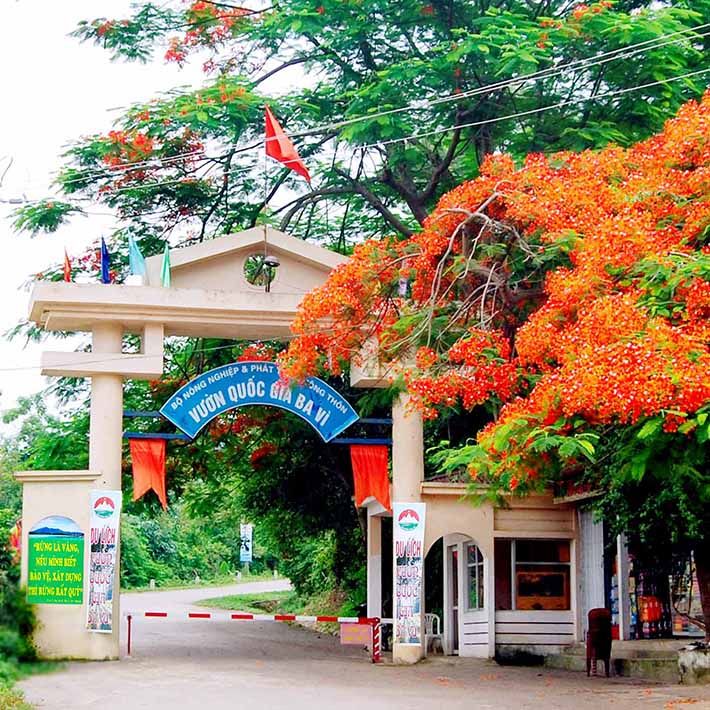 Khách Tây trầm trồ trước ngôi làng ở Hà Nội, nhận xét: "Tôi đi 9200km chỉ để chụp những bức ảnh thế này!"- Ảnh 9.