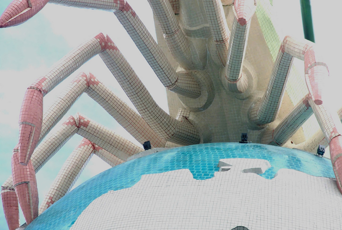 Cận cảnh con tôm 22 tỷ đồng ở Cà Mau- Ảnh 2.