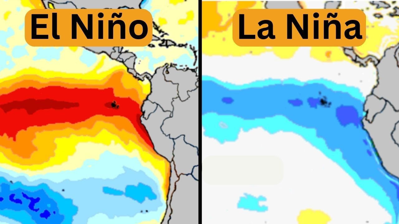 La Niña đã quay lại- Ảnh 2. La Niña đã quay lại- Ảnh 2.