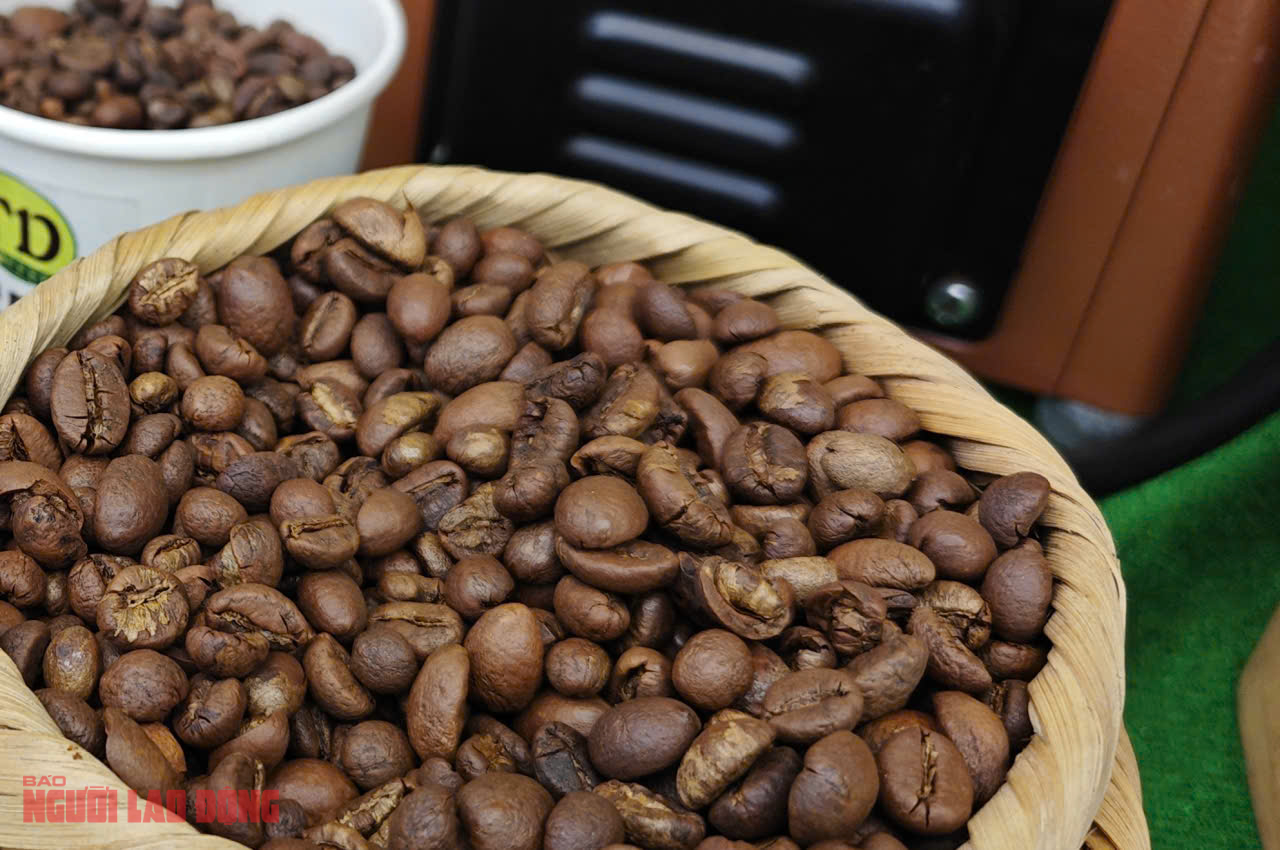 Giá cà phê hôm nay 15-10: Arabica tăng dữ dội- Ảnh 1. Giá cà phê hôm nay 15-10: Arabica tăng dữ dội- Ảnh 1.