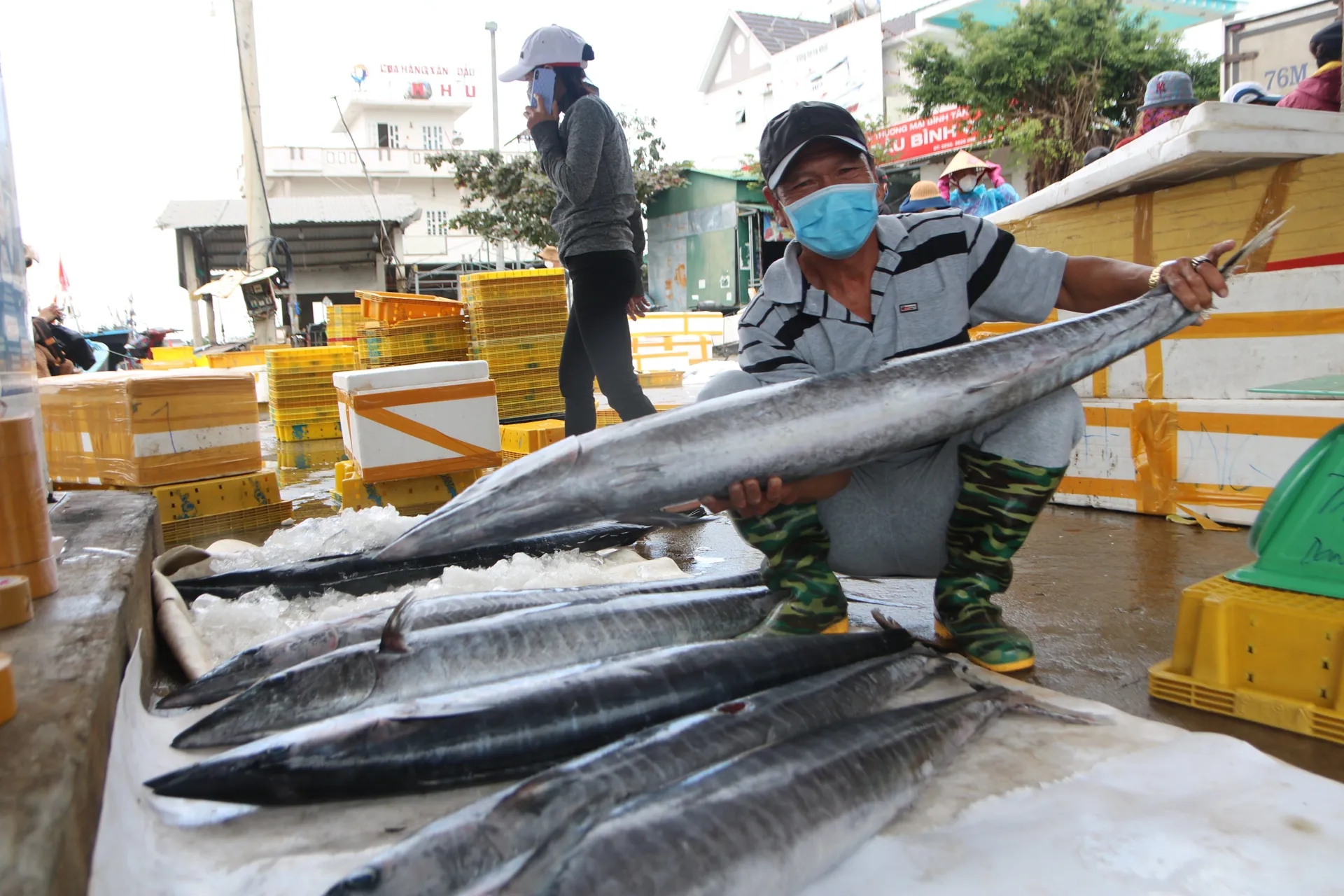 Việt Nam sở hữu loại cá đứng ngôi "vua" về hàm lượng omega-3: Giảm mỡ máu, ngừa ung thư và đột quỵ- Ảnh 1. Việt Nam sở hữu loại cá đứng ngôi "vua" về hàm lượng omega-3: Giảm mỡ máu, ngừa ung thư và đột quỵ- Ảnh 1.