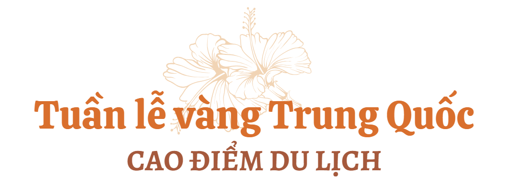 photo-1760528943466 photo-1760528943466