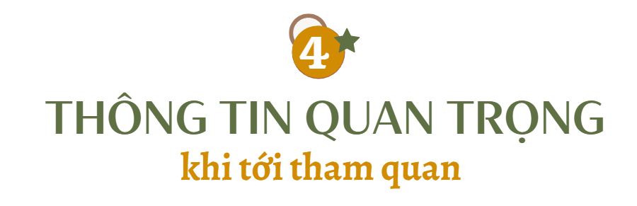 photo-1760529885229 photo-1760529885229