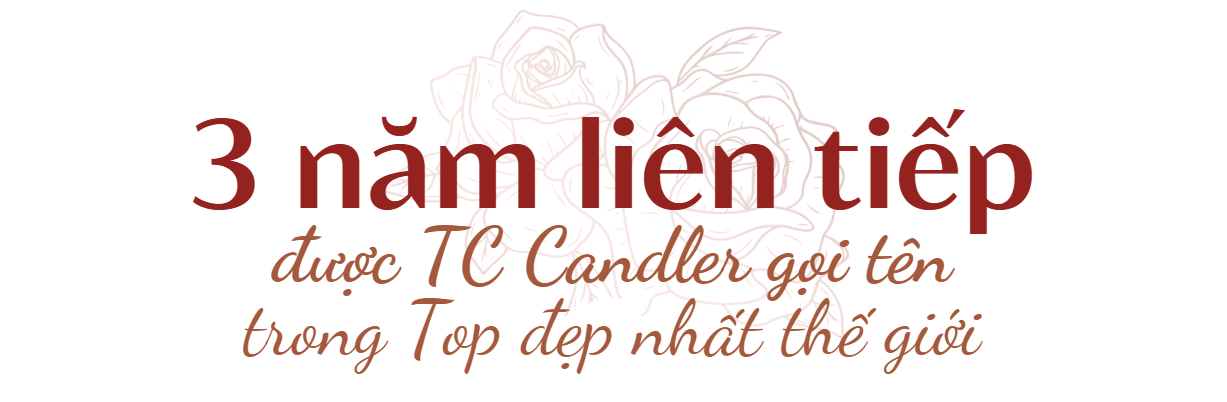 photo-1760529981098 photo-1760529981098