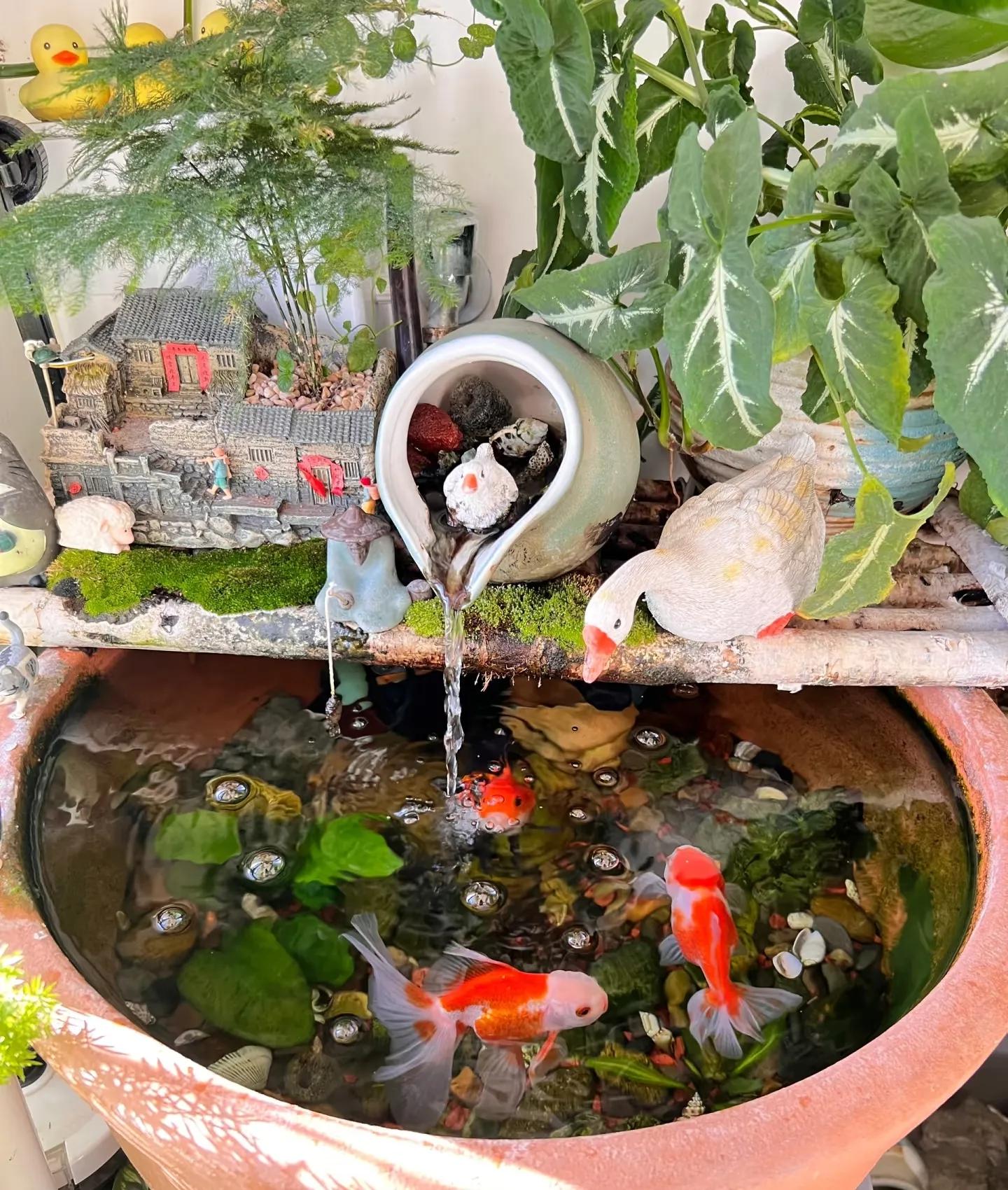 Nhà hàng xóm chỉ có ban công 4m² mà làm được khu vườn đẹp như resort, nhìn xong tôi chỉ biết thốt lên Nhà hàng xóm chỉ có ban công 4m² mà làm được khu vườn đẹp như resort, nhìn xong tôi chỉ biết thốt lên