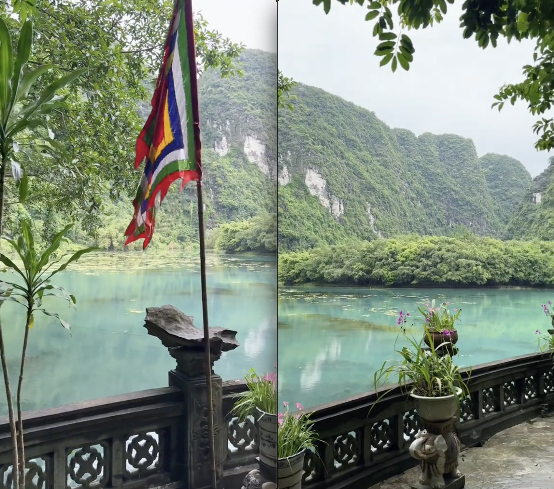 Du lịch Ninh Bình, khách Tây há hốc miệng vì bốc trúng ngay "sít rịt"- Ảnh 2. Du lịch Ninh Bình, khách Tây há hốc miệng vì bốc trúng ngay "sít rịt"- Ảnh 2.