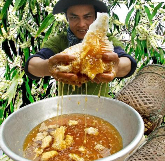 Đặc sản đắt nhất thế giới 40 triệu/kg, Việt Nam có loại thiên nhiên nguyên bản, thơm ngọt chẳng kém cạnh- Ảnh 6. Đặc sản đắt nhất thế giới 40 triệu/kg, Việt Nam có loại thiên nhiên nguyên bản, thơm ngọt chẳng kém cạnh- Ảnh 6.