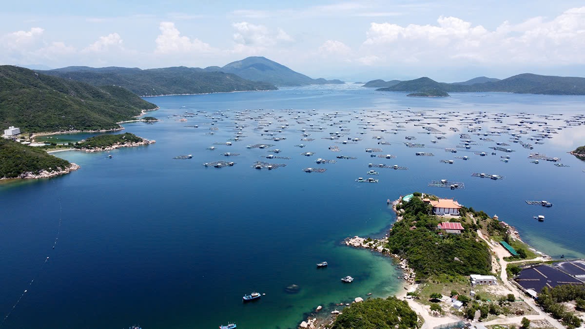Nha Trang - Viên ngọc xanh khác biệt trên bản đồ du lịch Việt Nam- Ảnh 2. Nha Trang - Viên ngọc xanh khác biệt trên bản đồ du lịch Việt Nam- Ảnh 2.