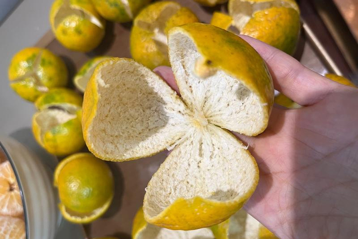 Loại vỏ trái cây thường bị bỏ đi lại được người Trung Quốc ví như thuốc quý- Ảnh 3. Loại vỏ trái cây thường bị bỏ đi lại được người Trung Quốc ví như thuốc quý- Ảnh 3.