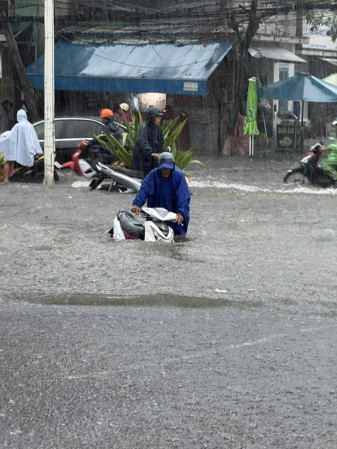 Hình ảnh chỉ 1 trận mưa lớn, Nha Trang chìm trong biển nước- Ảnh 4. Hình ảnh chỉ 1 trận mưa lớn, Nha Trang chìm trong biển nước- Ảnh 4.