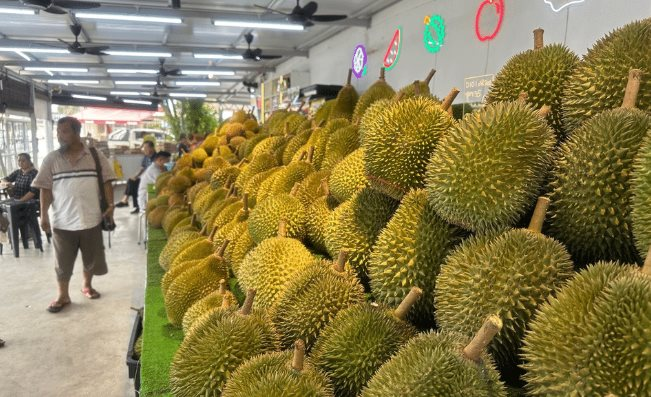Một đối thủ sầu riêng của Thái Lan, Việt Nam rục rịch gia nhập thị trường Trung Quốc, chuyên gia khẳng định: Cần ít nhất 2 năm nữa để làm điều này- Ảnh 1. Một đối thủ sầu riêng của Thái Lan, Việt Nam rục rịch gia nhập thị trường Trung Quốc, chuyên gia khẳng định: Cần ít nhất 2 năm nữa để làm điều này- Ảnh 1.