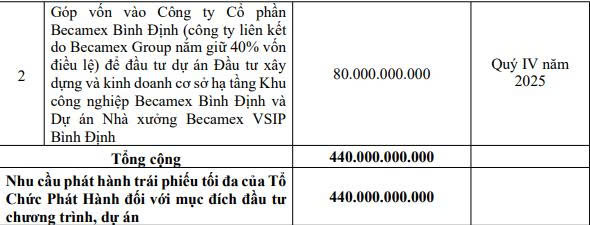 Becamex Group lên kế hoạch phát hành 2.000 tỷ đồng trái phiếu- Ảnh 3.