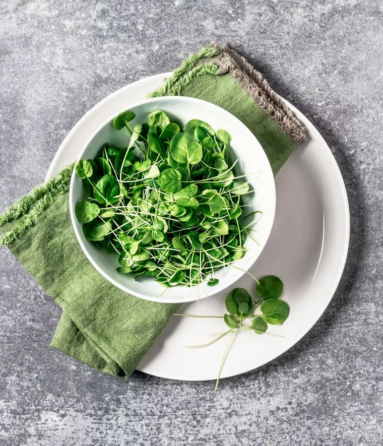 Loại rau tốt bậc nhất thế giới, có thể chống ung thư: Người Anh chỉ dùng trang trí, người Việt nấu đủ món- Ảnh 1. Loại rau tốt bậc nhất thế giới, có thể chống ung thư: Người Anh chỉ dùng trang trí, người Việt nấu đủ món- Ảnh 1.