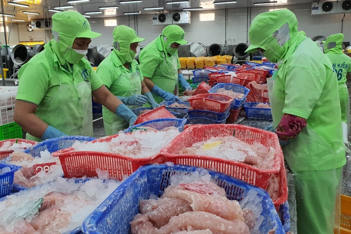 Xuất hiện thị trường trọng điểm mới của cá tra Việt- Ảnh 1. Xuất hiện thị trường trọng điểm mới của cá tra Việt- Ảnh 1.