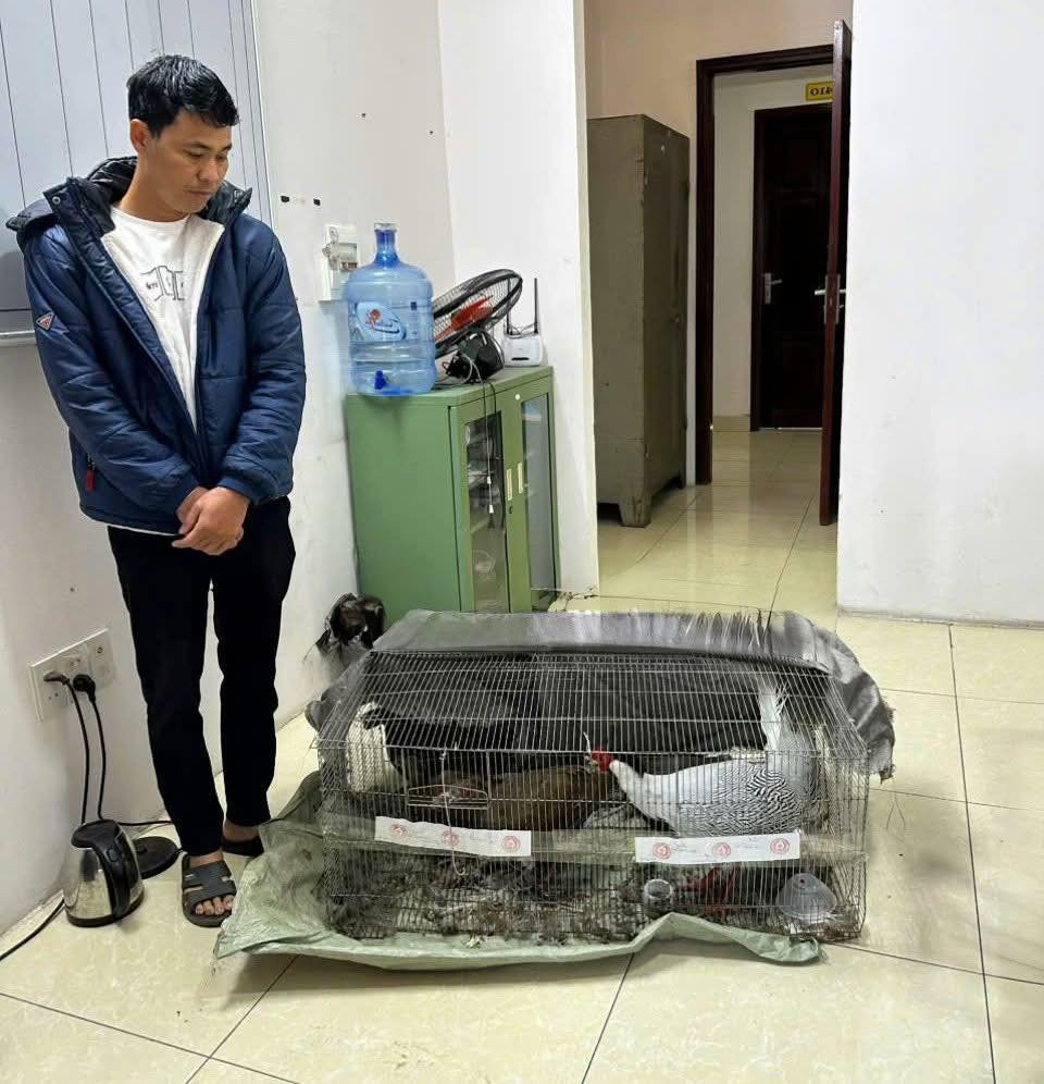 Phúc thẩm vụ Phúc thẩm vụ