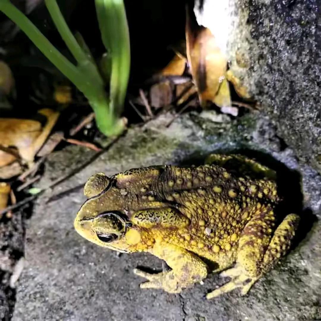 Đừng động đến 4 loại Đừng động đến 4 loại