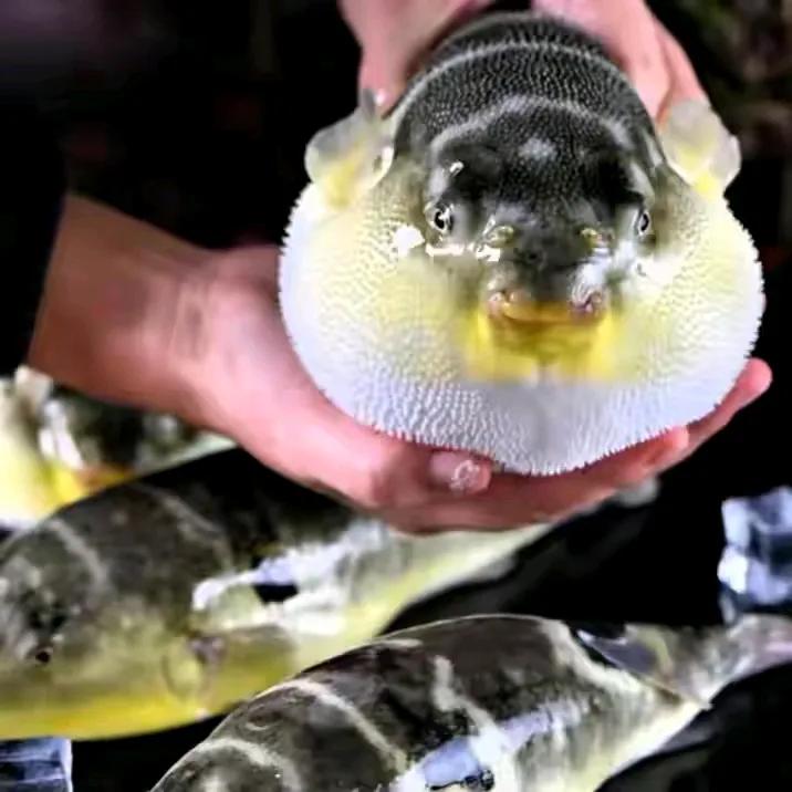 Đừng động đến 4 loại Đừng động đến 4 loại