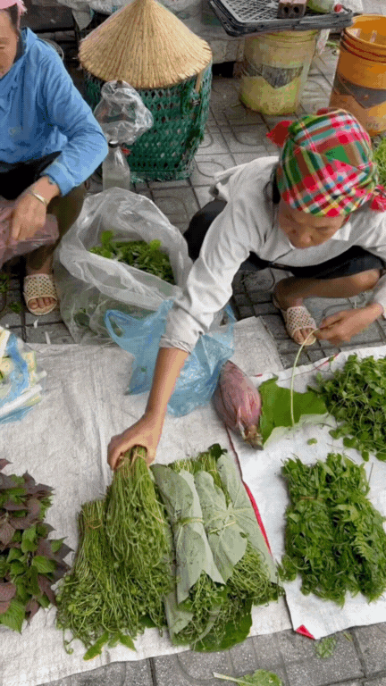 Món rau Tây Bắc gây sốt TikTok: Phắc cút tò ngòng là gì mà ai xem cũng muốn ăn thử?- Ảnh 1. Món rau Tây Bắc gây sốt TikTok: Phắc cút tò ngòng là gì mà ai xem cũng muốn ăn thử?- Ảnh 1.