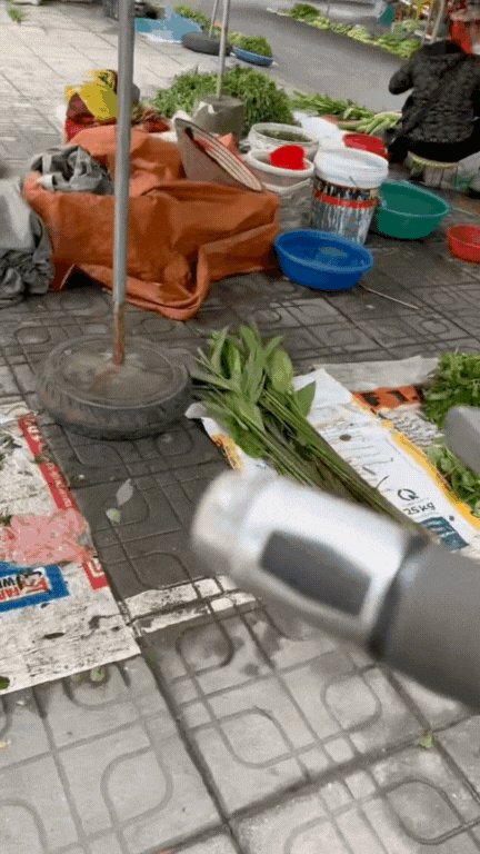 Món rau Tây Bắc gây sốt TikTok: Phắc cút tò ngòng là gì mà ai xem cũng muốn ăn thử?- Ảnh 3. Món rau Tây Bắc gây sốt TikTok: Phắc cút tò ngòng là gì mà ai xem cũng muốn ăn thử?- Ảnh 3.