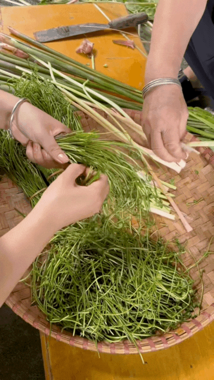 Món rau Tây Bắc gây sốt TikTok: Phắc cút tò ngòng là gì mà ai xem cũng muốn ăn thử?- Ảnh 4. Món rau Tây Bắc gây sốt TikTok: Phắc cút tò ngòng là gì mà ai xem cũng muốn ăn thử?- Ảnh 4.