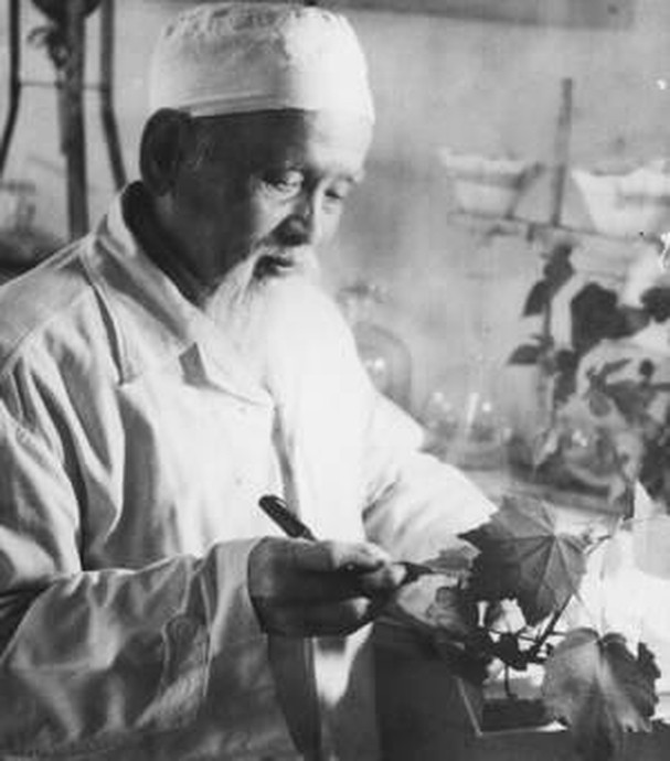 Sự thật về ông chủ Cao Sao Vàng - "thần dược quốc dân" từng chỉ có giá 5.000 đồng, nay được bán cao gấp 37 lần ở trời Tây- Ảnh 1. Sự thật về ông chủ Cao Sao Vàng - "thần dược quốc dân" từng chỉ có giá 5.000 đồng, nay được bán cao gấp 37 lần ở trời Tây- Ảnh 1.