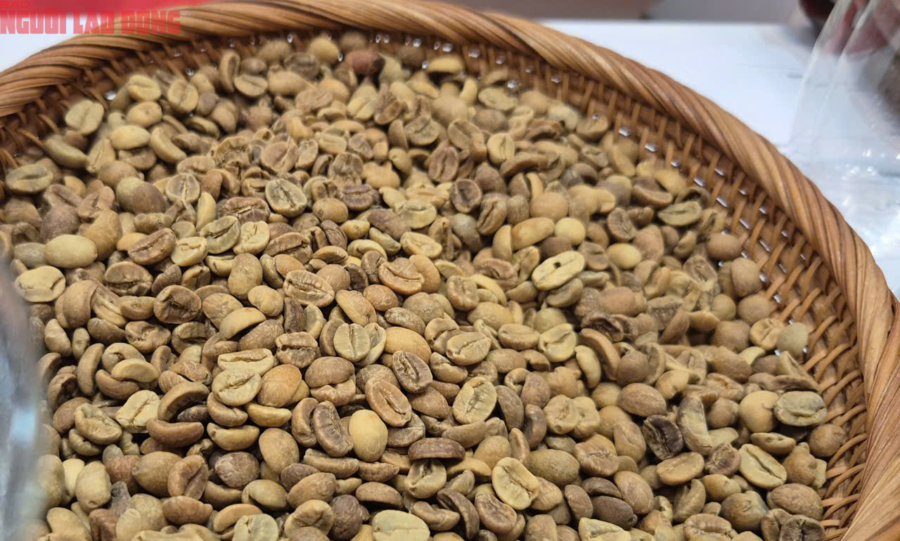 Giá cà phê hôm nay 18-10: Robusta hạ nhiệt- Ảnh 2. Giá cà phê hôm nay 18-10: Robusta hạ nhiệt- Ảnh 2.
