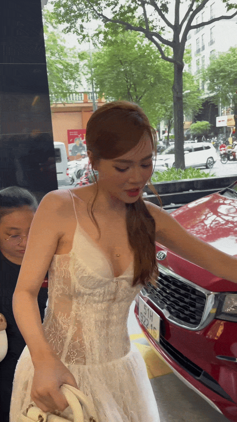 Ninh Dương Lan Ngọc nên dừng lại- Ảnh 2. Ninh Dương Lan Ngọc nên dừng lại- Ảnh 2.