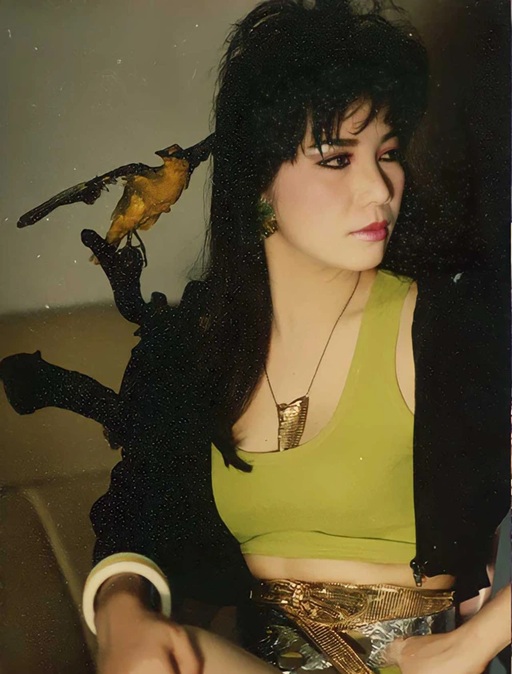 Nữ hoàng Bolero 1 đêm chạy 20 show, khiến Đàm Vĩnh Hưng xấu hổ, Thanh Lam thốt một câu- Ảnh 3.