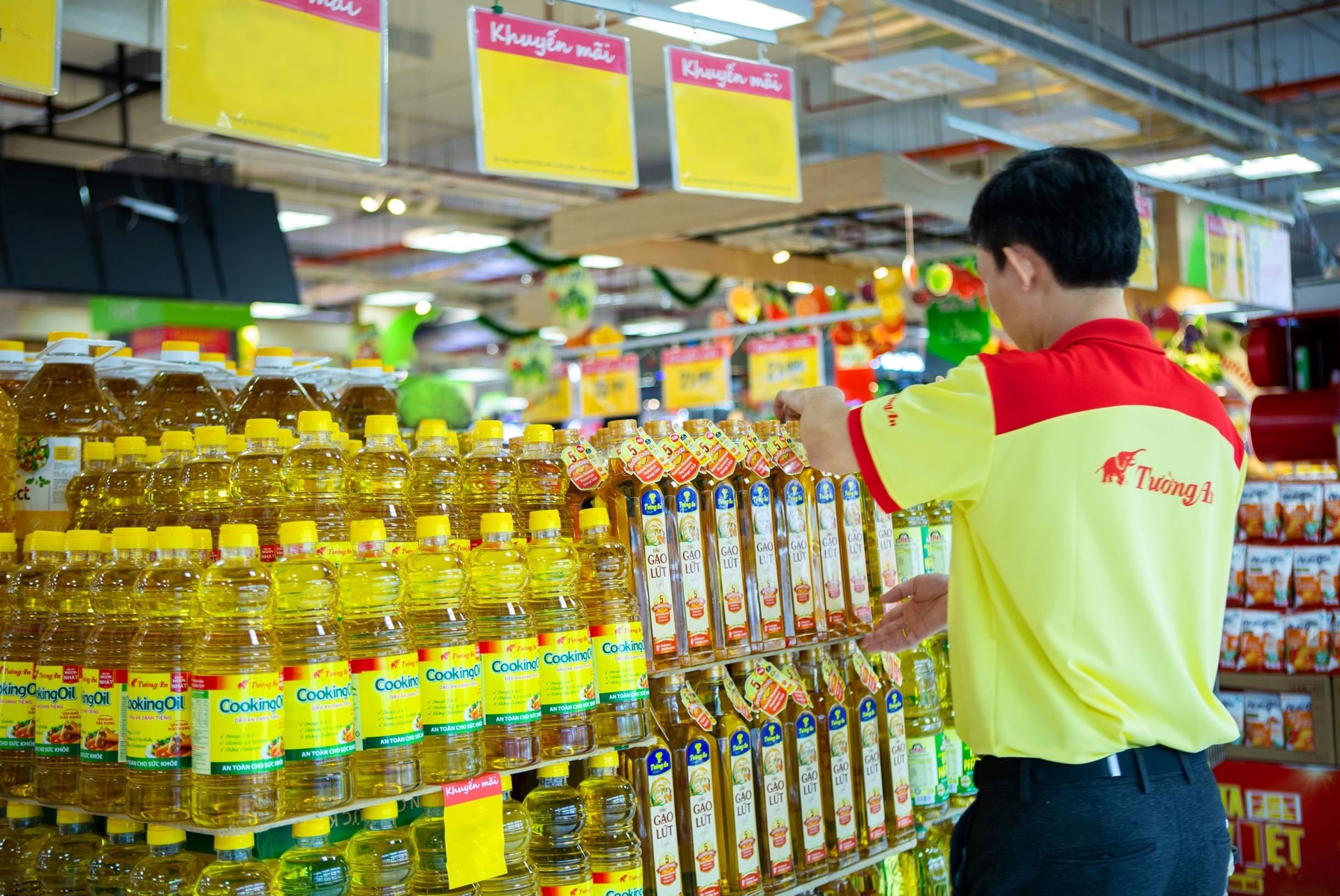 Vocarimex chuẩn bị rời sàn chứng khoán- Ảnh 1.