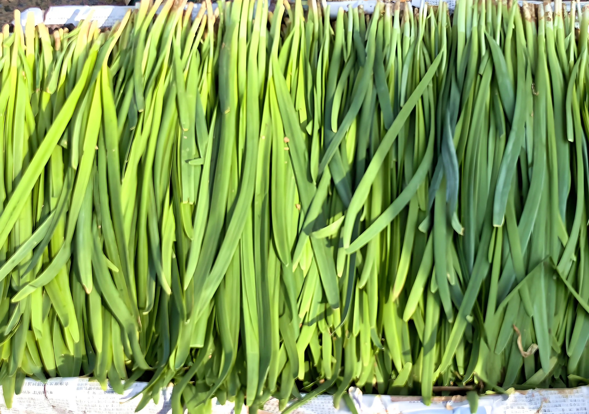 6 loại rau củ đừng mua mùa này- Ảnh 5.