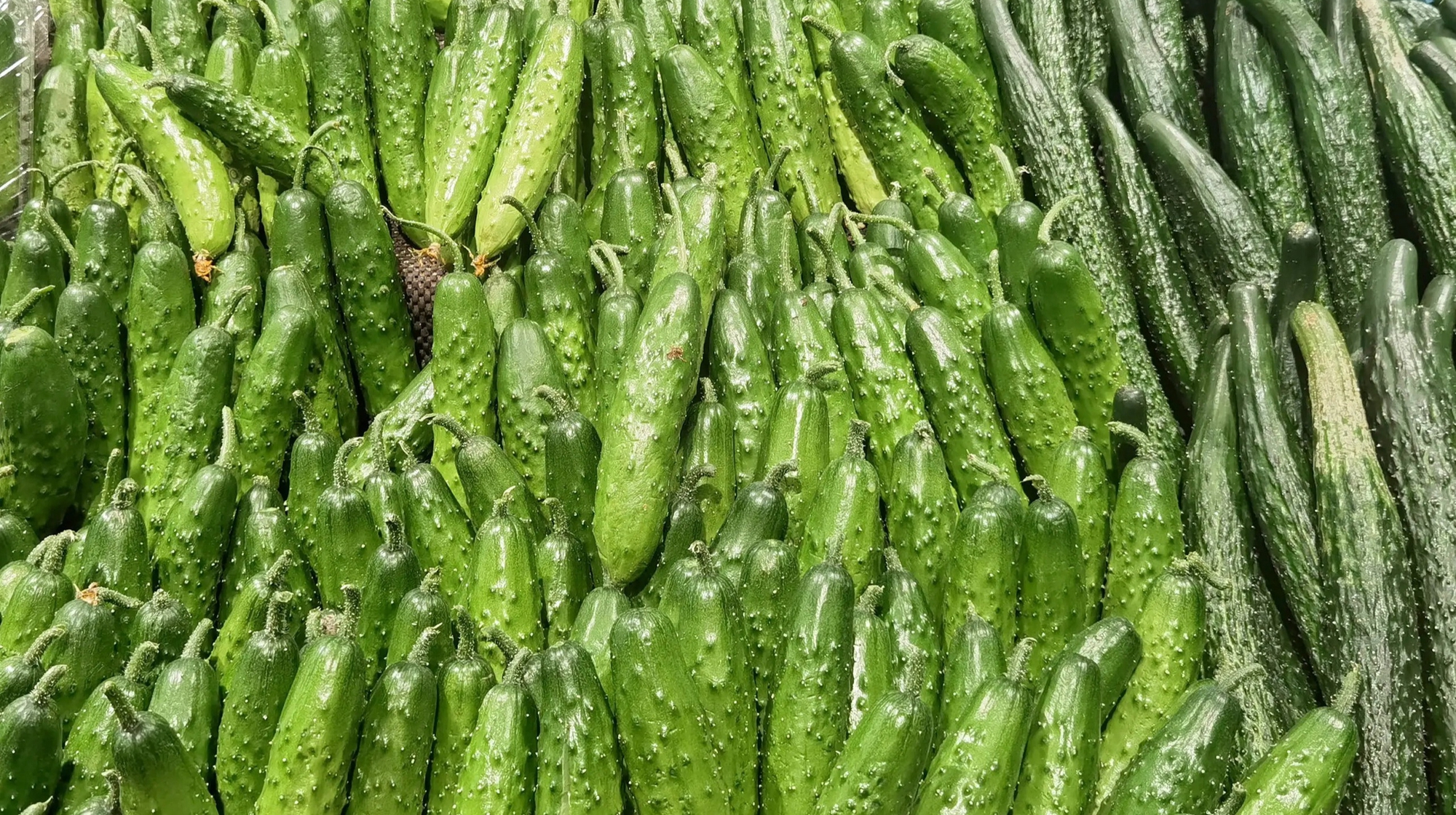 6 loại rau củ đừng mua mùa này- Ảnh 4.